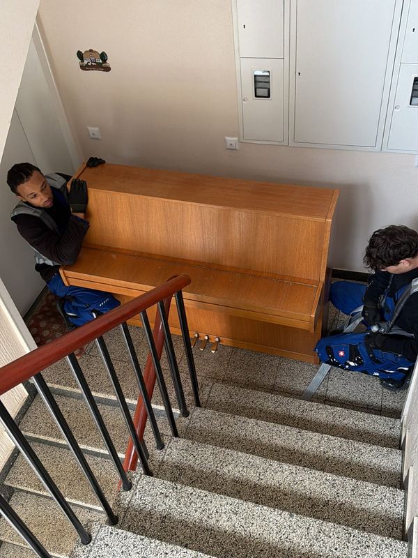 Mit Tragegurten bringen zwei Kollegen ein Klavier eine Treppe hinunter